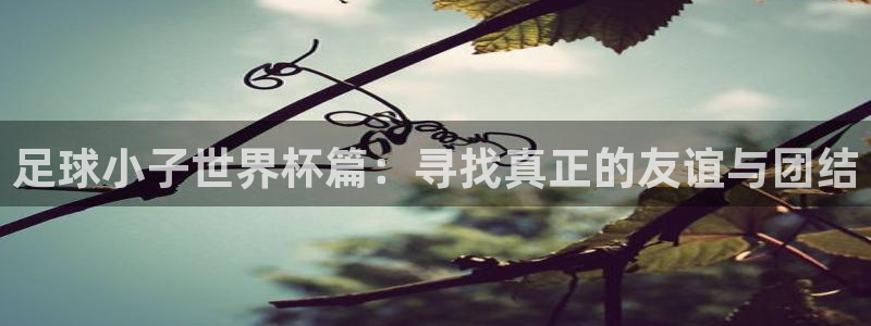 世界杯预选赛亚洲区积分榜:足球小子世界杯篇:寻找真正的友谊与团结