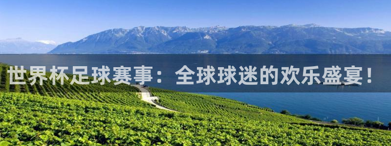 2026世预赛赛程:世界杯足球赛事:全球球迷的欢乐盛宴!