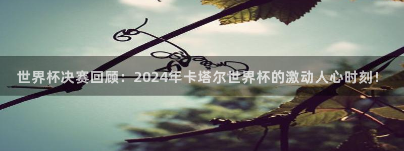 世界杯亚洲区预选赛赛程:世界杯决赛回顾:2024年卡塔尔世界杯的激动人心时刻!
