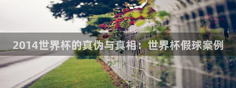 世界杯视频:2014世界杯的真伪与真相:世界杯假球案例