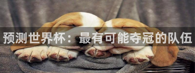 世界杯预选赛欧洲赛区赛程:预测世界杯:最有可能夺冠的队伍