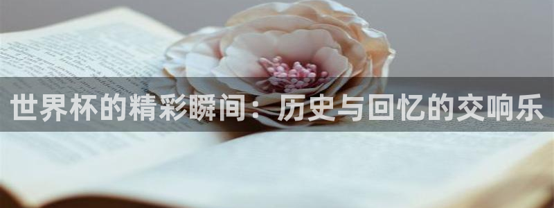世界杯球赛:世界杯的精彩瞬间:历史与回忆的交响乐
